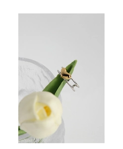 Close-up of minimalist two-tone silver and gold heart ring displayed on green tulip leaves