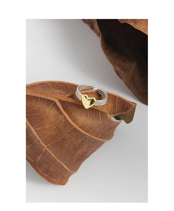 Detailed shot of S925 sterling silver twist ring with a gold heart on a dried leaf