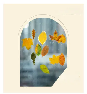 Detailed view of semi-transparent leaf stickers in autumn colors with natural light