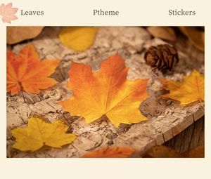 Macro view of transparent PET maple leaf stickers placed in an autumn forest scene