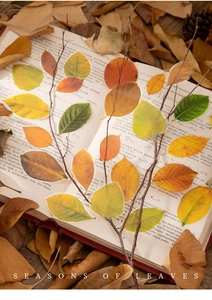 Detailed close-up of translucent vintage leaf stickers on a retro book background