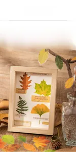 Close-up of vintage leaf stickers in a light wood frame with dried foliage decor