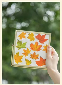 Golden metal floating frame showcasing colorful dried maple leaves for home decor