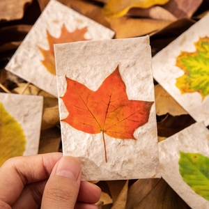 Seasonal leaf themed paper stickers for DIY journaling featuring autumn maple leaves