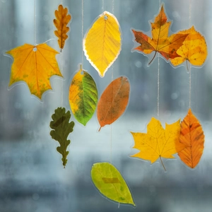 Vintage autumn leaf theme decorative stickers pack with maple and oak leaf designs