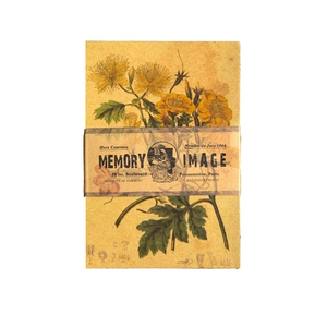 Carta per scrapbooking vintage Memory Image con illustrazioni botaniche di fiori gialli