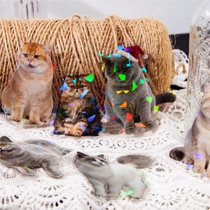 Holographic cat stickers with laser glass texture for scrapbooking and decoration