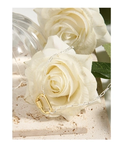 Macro detail of silver rectangle chain and gold carabiner clasp on white rose