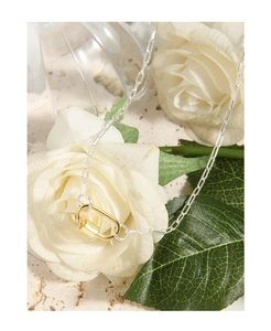 Detailed shot of two-tone silver clip chain with golden carabiner clasp on white roses