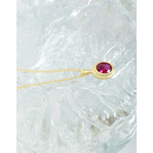 Elegant S925 silver necklace featuring a faceted red zircon pendant on a gold chain