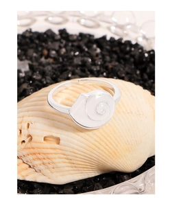 Macro detail of the silver conch shell ring on a natural seashell background