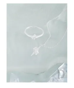 Close-up of S925 silver star pendant and ring on a transparent textured surface