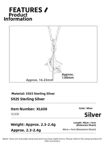 Vue détaillée du pendentif étoile en argent S925 avec spécifications de dimensions
