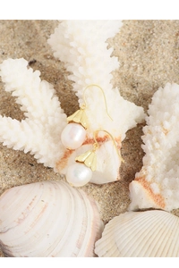 Detail of elegant pearl earrings with gold floral caps placed on white coral and shells