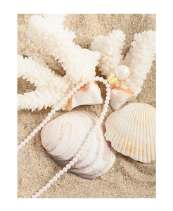 Macro shot of S925 sterling silver freshwater pearl necklace on sand with seashell decor