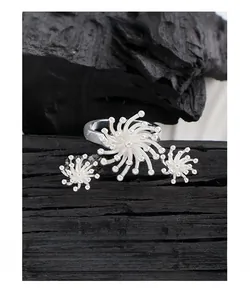 Macro shot of silver fireworks design ring and studs set with white crystals