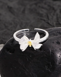 Macro shot of S925 sterling silver ring showing detailed marquise zircon butterfly and metal texture