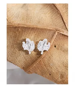Macro shot of S925 silver irregular streamline stud earrings with marquise zircon on a leaf