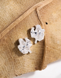 Macro view of S925 silver stud earrings with marquise zircon stones on a leaf