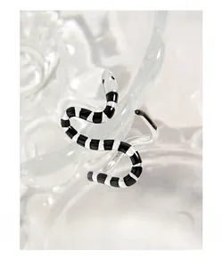 Macro detail of S925 silver snake ring with black and white striped enamel craft