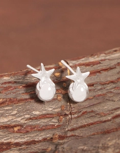 Vue macro des boucles d'oreilles boules étoiles en argent 925 sur support en bois