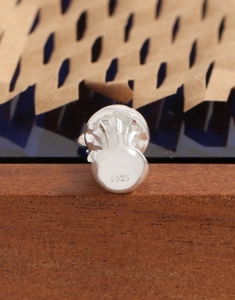 Detailed macro view of S925 sterling silver apple core pendant with smooth polished finish