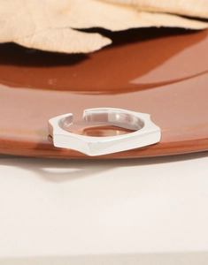 Detailed view of silver geometric polygon ring on ceramic dish with dried leaves