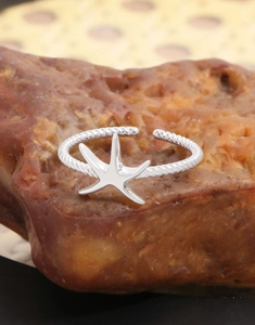 Vue macro d'une bague étoile de mer argentée avec anneau torsadé sur pierre naturelle
