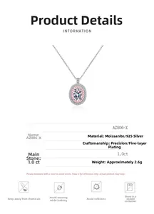 Detailed view of 1.0ct moissanite pendant with S925 silver double halo necklace