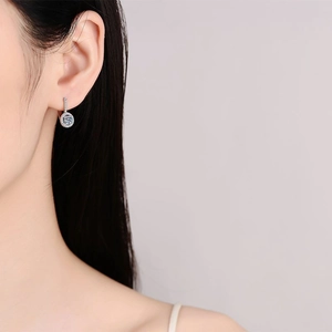 Elegante S925 Sterlingsilber Halo Ohrstecker mit rundem Brillant Moissanit Stein für Damen