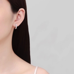 Minimalist S925 sterling silver hoop earrings with a small central round zircon stone