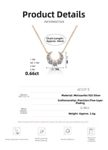 Détail du collier en argent S925 avec dimensions 13,7x11,4mm et longueur de chaîne 46cm