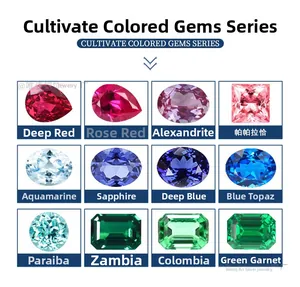 Twelve colorful lab-grown gemstones in various shapes and cuts for vintage S925 necklaces