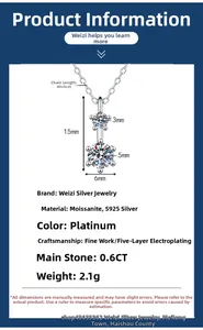 Detail of S925 silver necklace with double moissanite stones and full dimensions