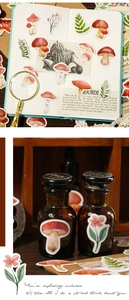 Detail of vintage mushroom and leaf stickers applied on a notebook and glass bottle