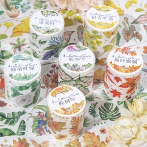 Set of 6 botanical washi tapes featuring maple, ginkgo, and monstera leaf patterns