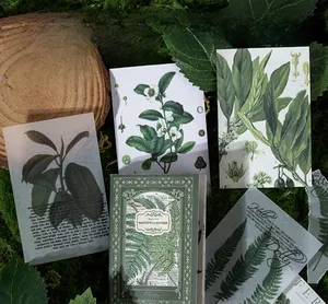 Macro shot of Greenfield Records vintage plant stickers on dark green moss background