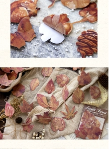 Macro detail of Sunset Forest stickers featuring autumn leaves and adhesive backing