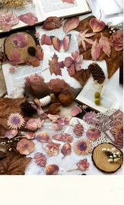 Detail of Sunset Forest stickers featuring autumn leaves and animals for DIY scrapbooking
