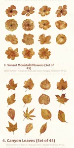 Detail of vintage autumn forest washi stickers showing floral and leaf patterns