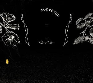 Detailed view of vintage gold-stamped zodiac PET stickers with floral art and classic fonts