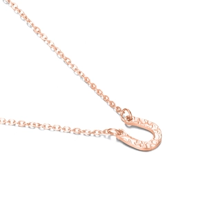 Macro shot of rose gold horseshoe pendant with hammered texture and fine link chain