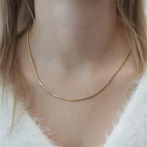 Minimalistische Edelstahl Schlangenkette Halskette Für Damen Herren Gold Silber Roségold Schlangenknochenkette Modeschmuck