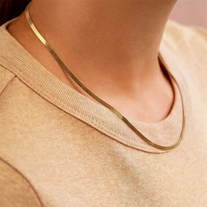 Elegante 18K vergulde titanium stalen platte slangenketting op vrouwelijke nek