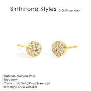 5mm 14K gold plated stainless steel stud earrings with paved round crystal stones