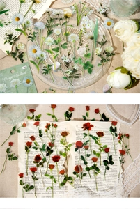 Macro detail of waterproof PET floral stickers on vintage paper and lace background