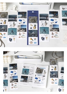 Detail of artistic paper stickers featuring photography and food illustrations for journals