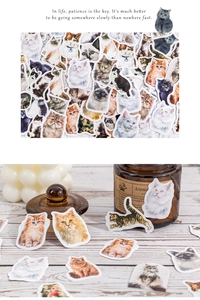 Detail of cute watercolor cat stickers on a glass jar and wooden desk surface