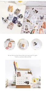 Macro detail of various cute hand-drawn cat stickers on calendar and gadget cases