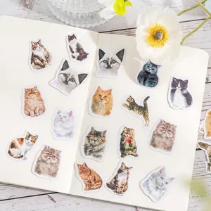 Realistic watercolor cat stickers set for journaling decoration with various cute kitten motifs
